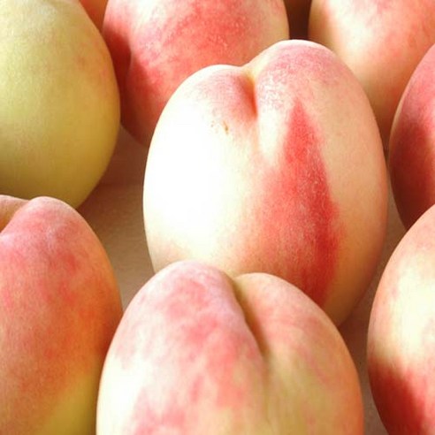 운성농원 백도복숭아 2Kg, 1개, 4Kg