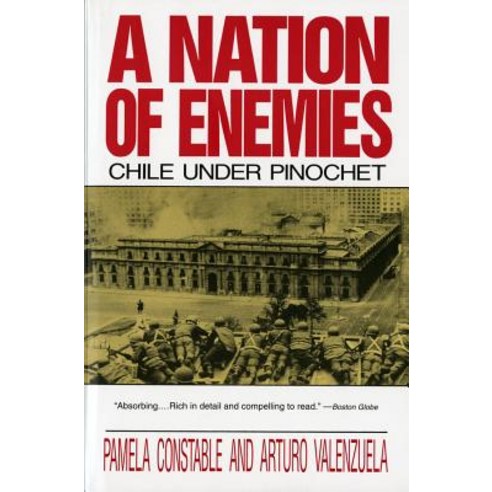 (영문도서) Nation of Enemies: Chile Under Pinochet (Revised) Paperback, W. W. Norton & Company, English, 9780393309850