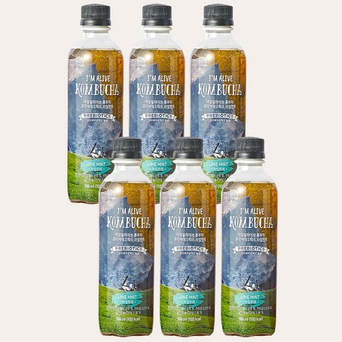 아임얼라이브 콤부차 360ml*6개, 라임민트 6병
