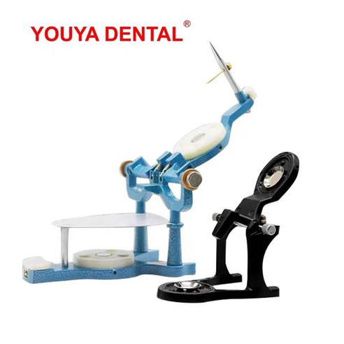 치과 교합기 금속 플라스틱 자기 조절 기법 치아 모델