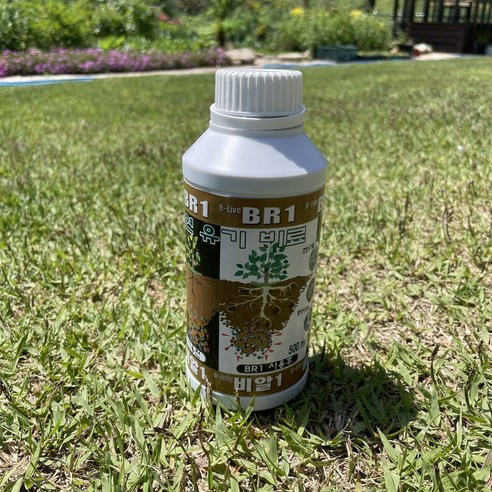 자연의 힘으로 식물에게 생명을 불어넣다