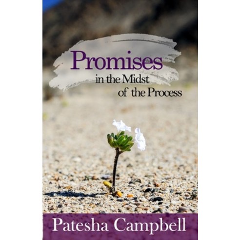 Promises in the Midst of the Process Paperback, Independently Published, English, 9798717006729