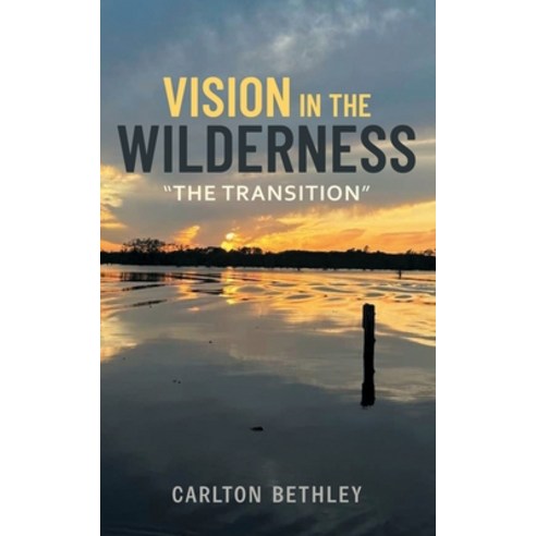 (영문도서) Vision in The Wilderness "The Transition" Paperback, Independently Published, English, 9798879725759