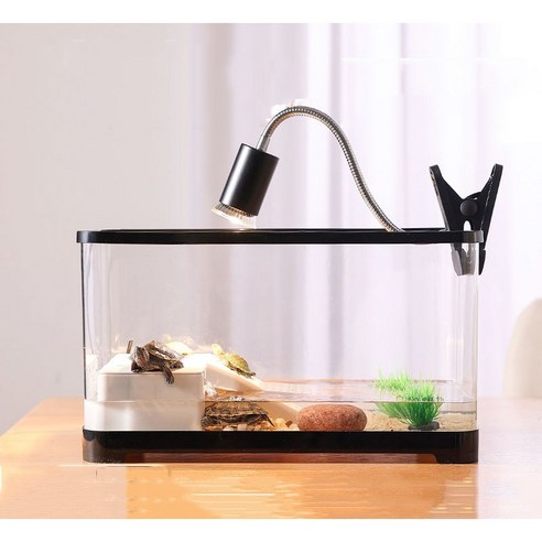 거북이에게 안전하고 편안하며 자연스러운 서식지를 제공하는 mozo 거북이 어항 키우기