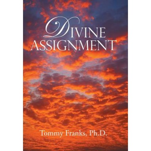 (영문도서) Divine Assignment Hardcover, Xlibris Us, English, 9781796015003