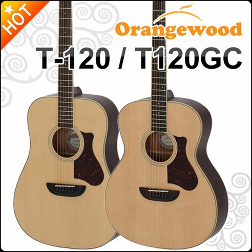 Orangewood T110 NS アコースティックギター Orangewood T110 NS アコースティックギター