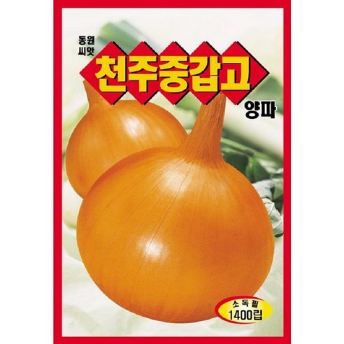 [가람종묘사] 양파 씨앗, 1개