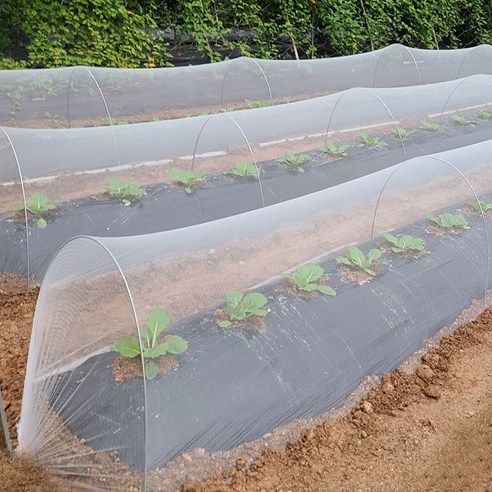 강선활대 미니 비닐하우스로 나만의 작은 정원을 디자인하고, 풍요로운 삶을 경험하세요.