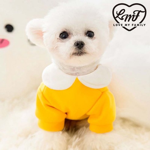 귀여운 당근 후드티로 따뜻한 가을과 겨울을 선사하는 로마팸 강아지옷
