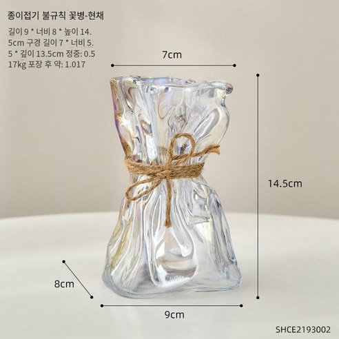 북유럽 인 바람 창조적 인 유리 꽃병 장식품, 화려한