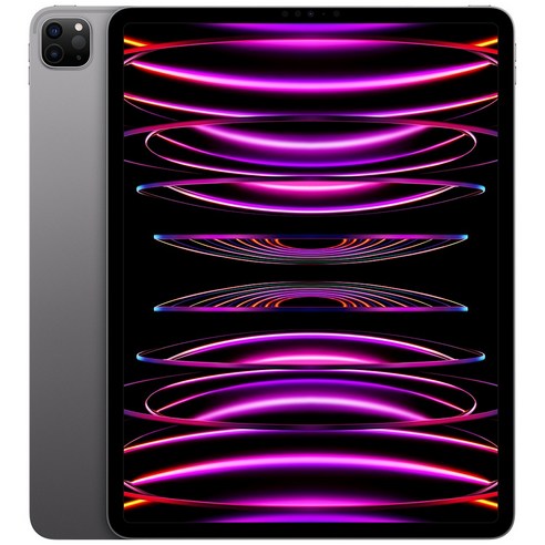 Apple 정품 2022 아이패드 프로 12.9 6세대 M2칩, Wi-Fi, 스페이스그레이, 128GB
