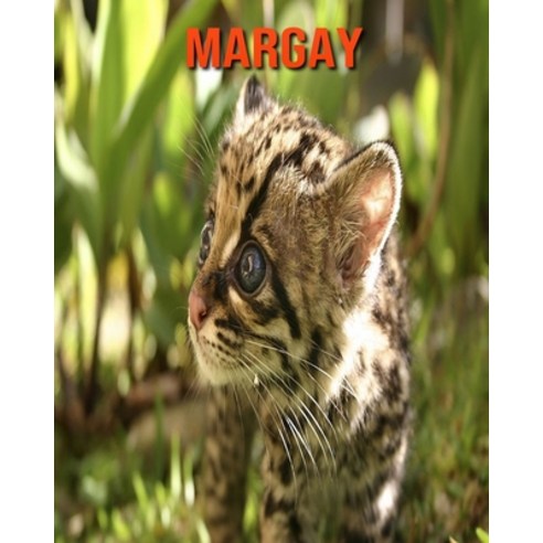 Margay: Amazing Facts about Margay Paperback, Independently Published, English, 9798551144984