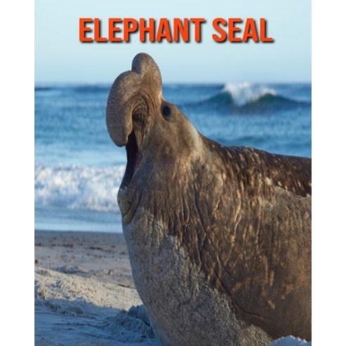 (영문도서) Elephant Seal: Amazing Facts & Pictures Paperback, Independently Published, English, 9798517562425