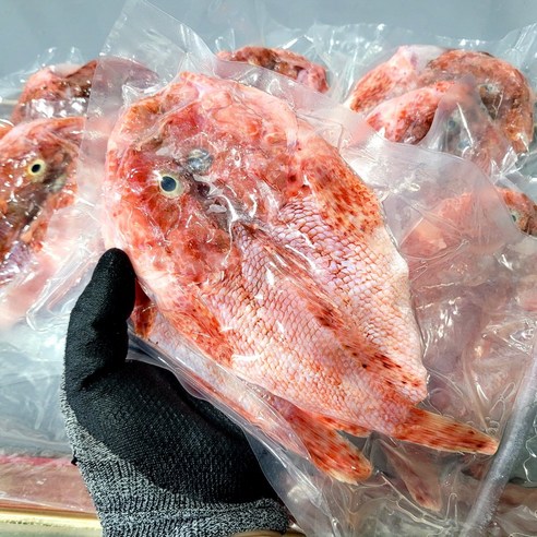 매운탕용 자연산 손질 쏨뱅이 500g 2-5마리 4인분 + 매운탕소스 - 우럭 | 쿠팡