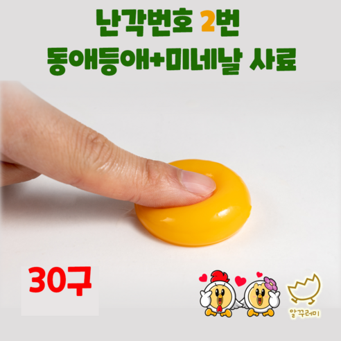 알꾸러미 실내방사 평사 유정란 난각번호 2번 계란 달걀 동애등애사료, 30구, 1개 논지엠오계란 알꾸러미 실내방사 평사 유정란 난각번호 2번 계란 달걀 동애등애사료, 30구, 1개 논지엠오계란