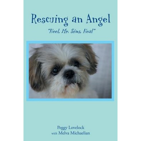 (영문도서) Rescuing an Angel: Heel Mr. Sims Heal Paperback, Page Publishing, Inc., English, 9781644629147