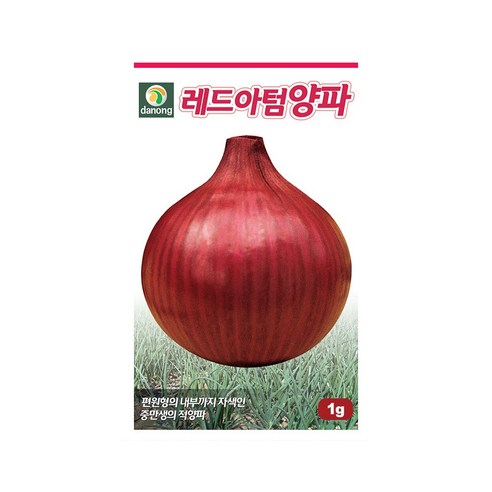 레드아톰 양파 씨앗 1g