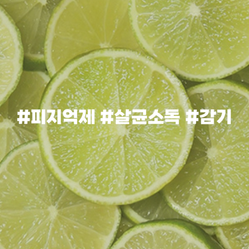 에센셜오일 라임 Lime E.O, [ 500ml ]