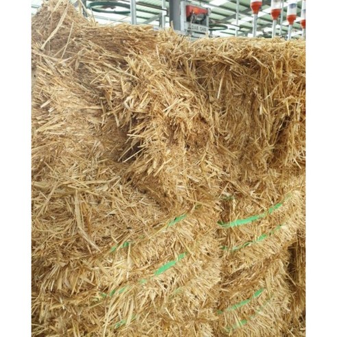 한우축사 연맥짚 버뮤다짚 지푸라기 건초 양계장 닭장 바닥 지푸라기 깔짚대용 20kg, 20kg(압축), 20kg(압축)
