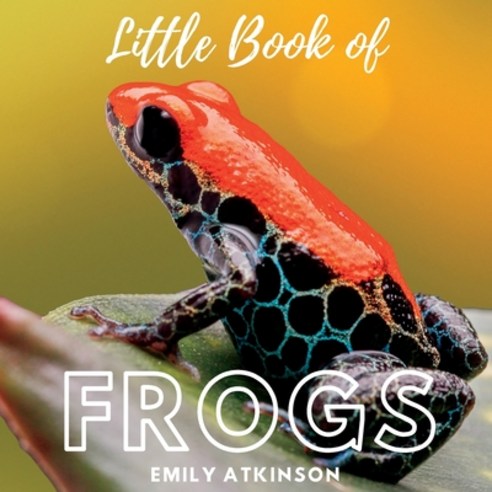 (영문도서) Little Book of Frogs Paperback, Independently Published, English, 9798378638796