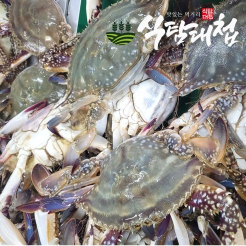 식탐대첩 국내산 활 숫꽃게 2kg 6-12미 빙장포장, 없음