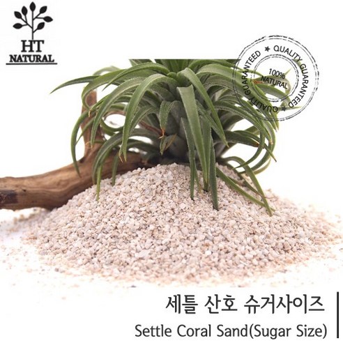 산호사 슈가사이즈 3.5kg, 1개