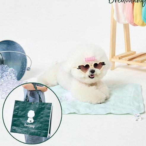 브르도댕 강아지 반려동물 대형견 여름 방수 쿨매트 쿨방석 + 가방, 민트샤베트+가방포함
