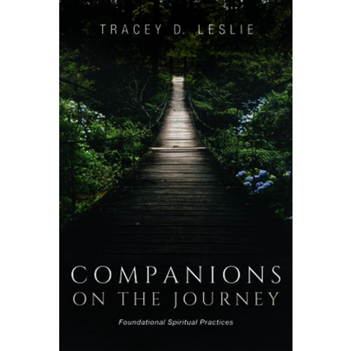 Companions on the Journey: Foundational Spiritual Practices Paperback, Resource Publications (CA)