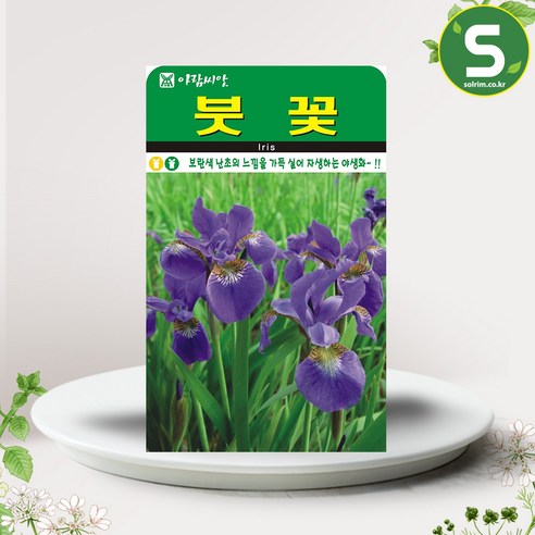 솔림텃밭몰 붓꽃씨앗 200립 붓꽃 꽃씨앗 꽃씨 야생화