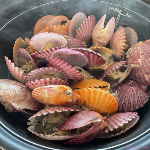 산지에서 직접 온 통영 홍가리비의 풍부한 맛과 영양소를 즐기세요.