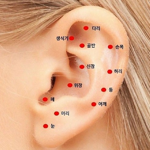 귀 지압 패치: 간편하게 누리는 건강과 아름다움의 비밀