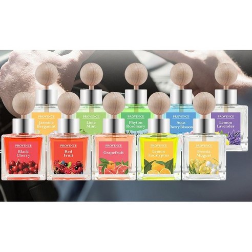 더허브샵 차량용 디퓨져 본품 50ml + 리필 50ml 선물세트, 레몬유칼립투스, 2세트