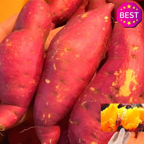 가을의 풍요로움을 담은 달콤한 선물, 당진 호박고구마 당진호박고구마