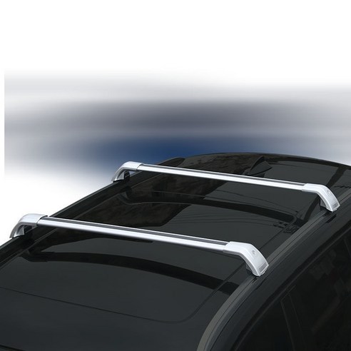 에쿠스/센텐니얼, 탑박스 루프용품 탑박스 DUAL-HO 알루미늄 합금 루프 사이드 크로스 레일 수하물 Bmw - X3 2010-2017 2 개, 1.Sliver