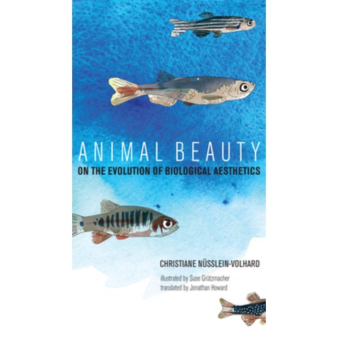 Animal Beauty: On the Evolution of Biological Aesthetics Hardcover, MIT Press
