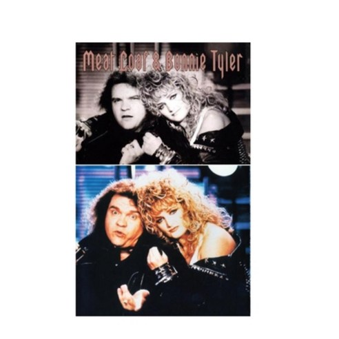 (영문도서) Meat Loaf & Bonnie Tyler: The Shocking Truth! Paperback, Lulu.com, English, 9781458363541