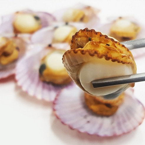 신선하고 합리적인 가격의 고성 홍가리비