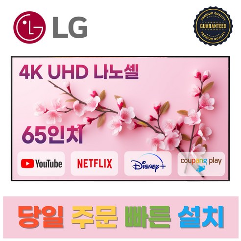 LG전자 65인치 NANO Cell 4K UHD 스마트 TV 65NANO90