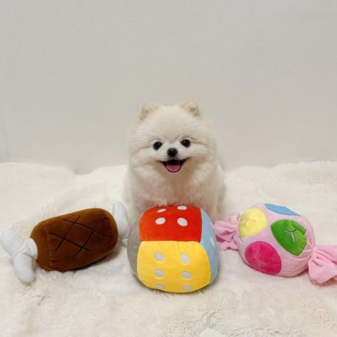 강아지의 즐거움과 건강을 위한 해밀펫 점핑볼