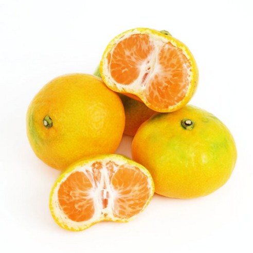 제주 하우스 감귤 3kg (로얄과) 2S-M/ 신선함 고당도 깊은풍미, 1개