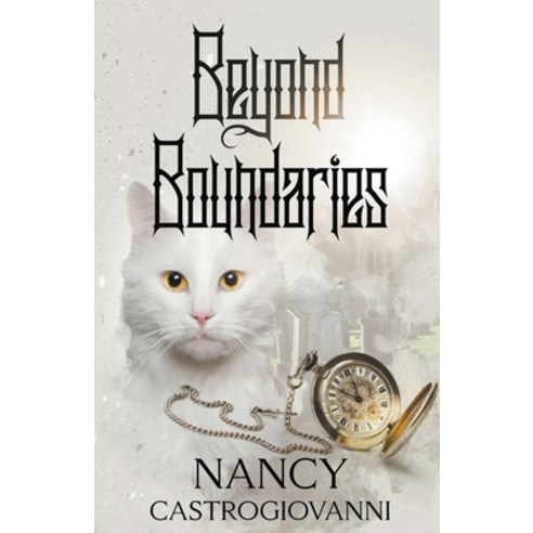 (영문도서) Beyond Boundaries Paperback, Nancy Castrogiovanni, English, 9798223996248