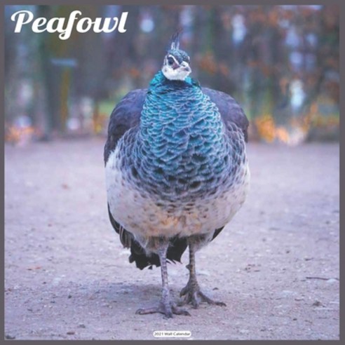 Peafowl 2021 Wall Calendar: Official Peacock Calendar 2021 Wall Calendar Paperback, Independently Published, English, 9798580167442