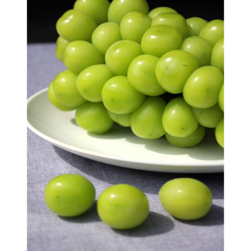 경북 명품 엄선 프리미엄 샤인 머스켓 씨없는 포도, 압도적 고당도, 특상등급, 백화점 선물용, 1kg(가정용 2-3수) 대부도포도