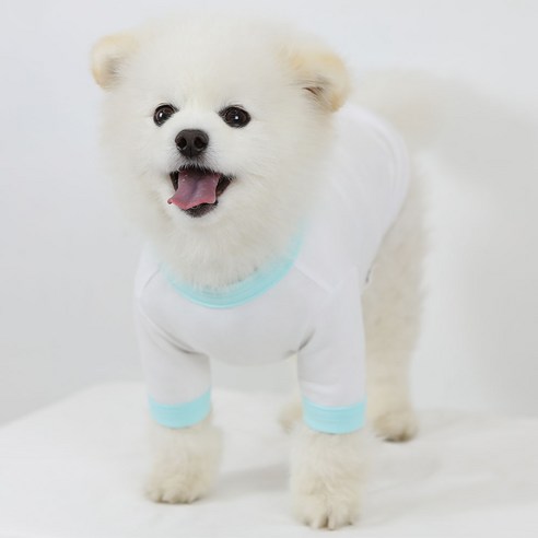 럭키페터 링거 강아지 옷 소형견 대형견 티셔츠 화이트 시리즈, 화이트+민트, 1개