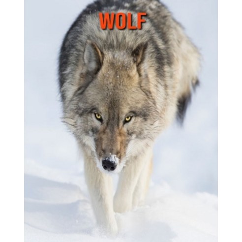 Wolf: Fun Learning Facts About Wolf Paperback, Independently Published, English, 9798558488869