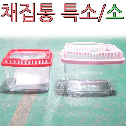 채집통 소 곤충 달팽이 소라게 집 사육장 이동장, 상세페이지 참조