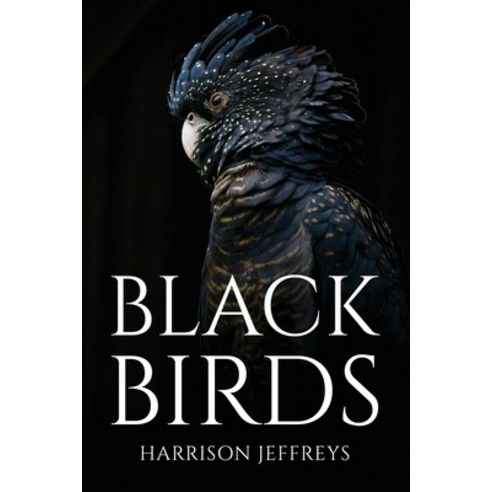 (영문도서) Black Birds Paperback, Harrison Jeffreys, English, 9781805093329