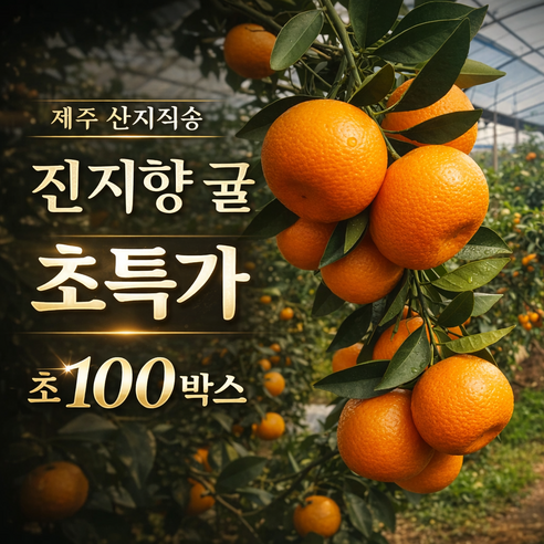 [선착순 특가] 제주 진지향 과즙팡팡 고당도 감귤 대과