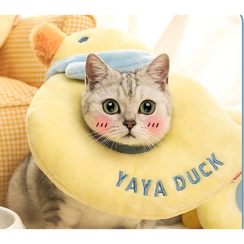 PCTN 냥댕이 펫 넥 카라 고양이 목 보호대 넥카라m 애견 깔때기 목 카라 Pet Neck Collar, PCTN 오리