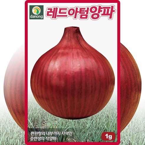 다농 레드아텀양파 씨앗 1g 적 양파 씨 종자, 단품